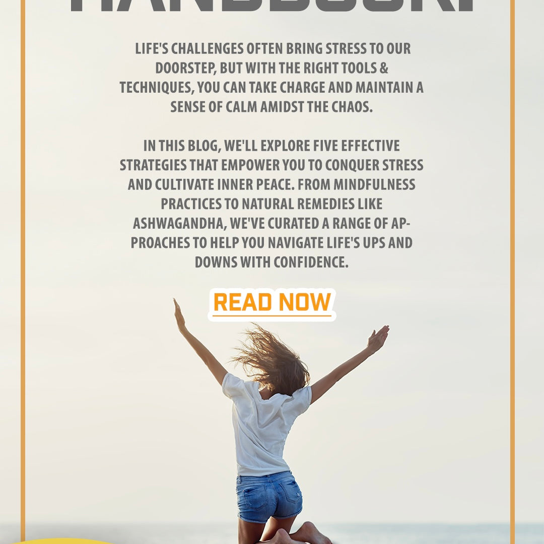 Mastering Stress: A Beginner’s Handbook.