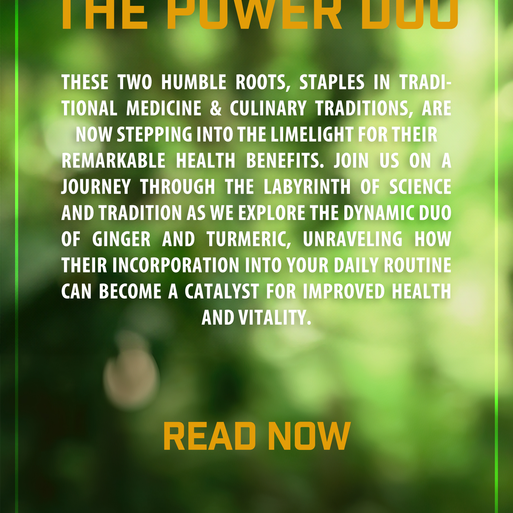Ginger + Turmeric: The Power Duo