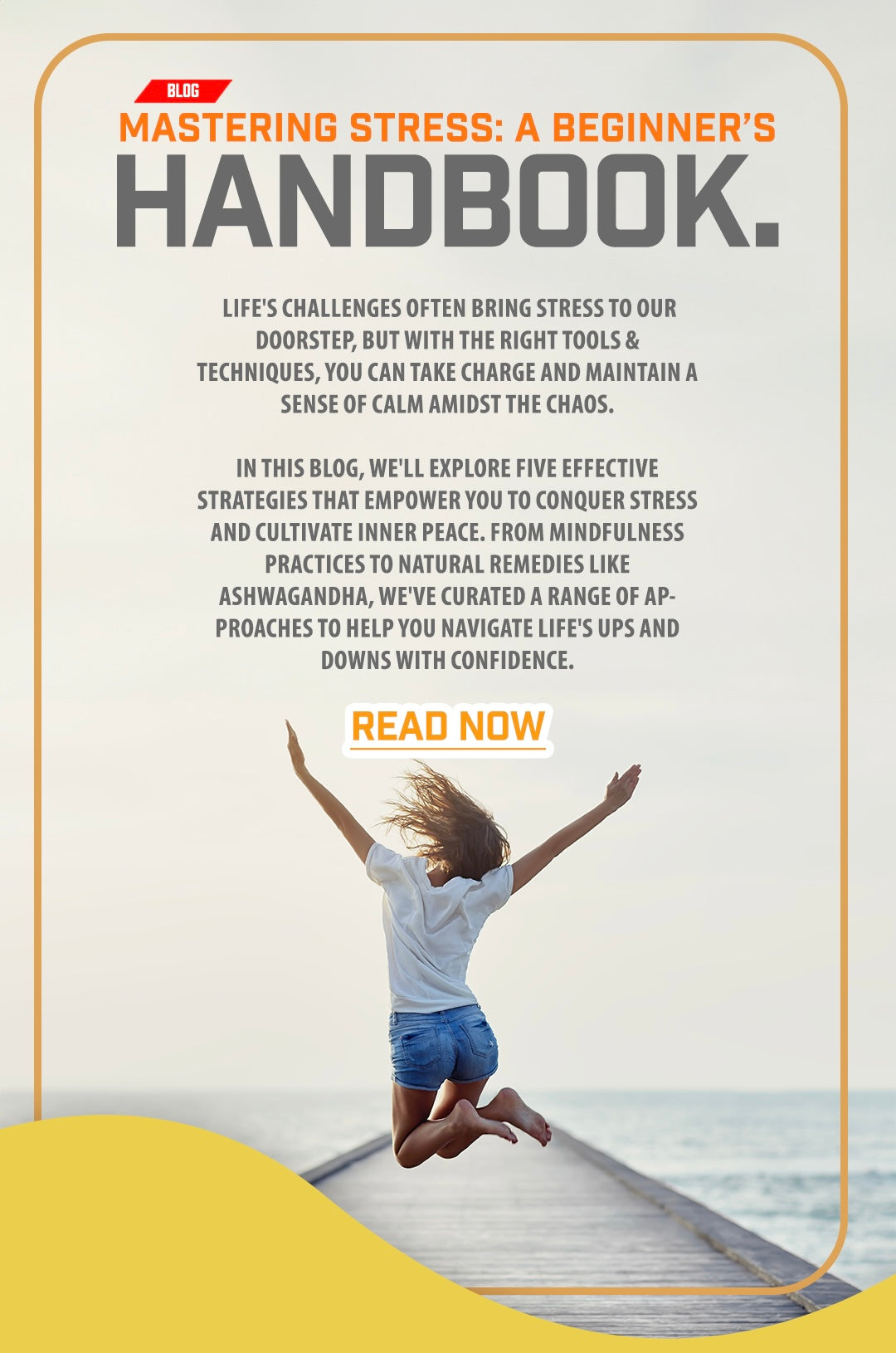 Mastering Stress: A Beginner’s Handbook.