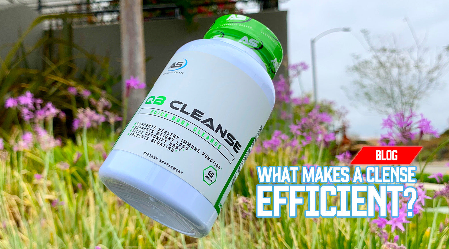 What makes a good cleanse? 🤔