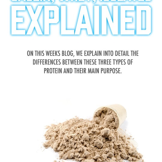 What is protein!