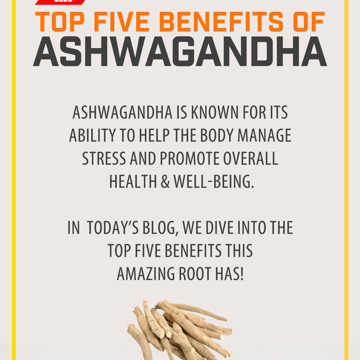 Top Five Benefits of Ashwagandha