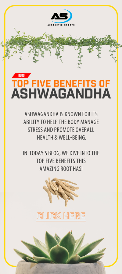Top Five Benefits of Ashwagandha